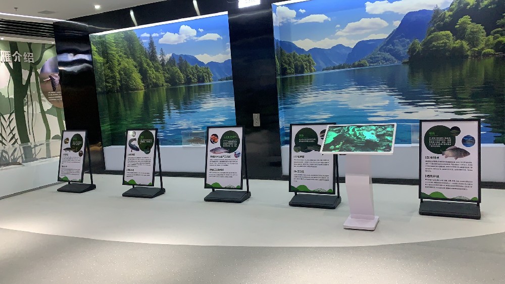 新疆沙雅县星星湖景区游客体验中心展馆多媒体集成项目